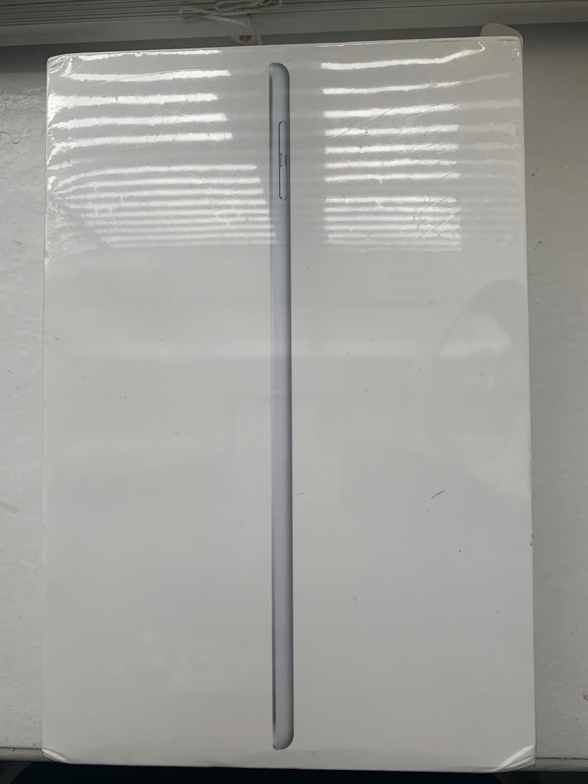 iPad mini 5th generation 7V87