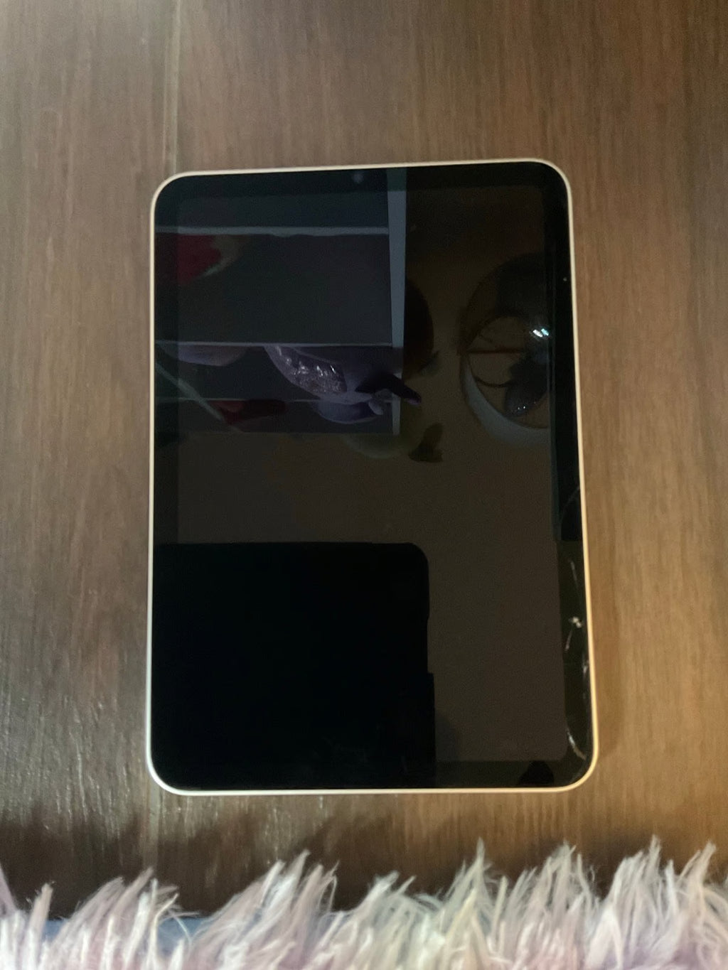 Apple iPad Mini 6th Generation 64 GB in Starlight 5J61