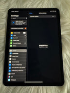 Apple iPad Pro 11 Inch WiFi + Cellular Unlocked Space Gray 9N11