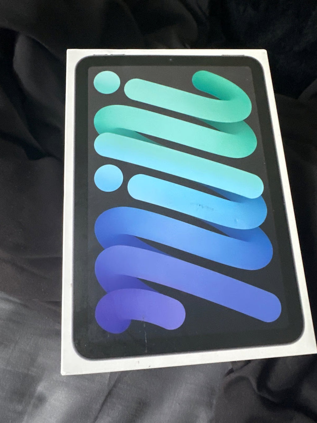 Apple iPad mini 7W61