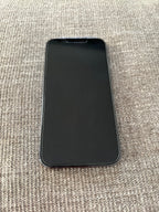 iPhone 13 Pro 256 GB Unlocked 3P99