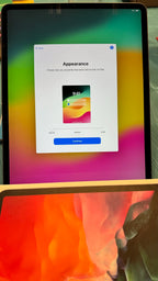 Apple iPad Pro 4th Generation 256 GB in Space Gray 8A88