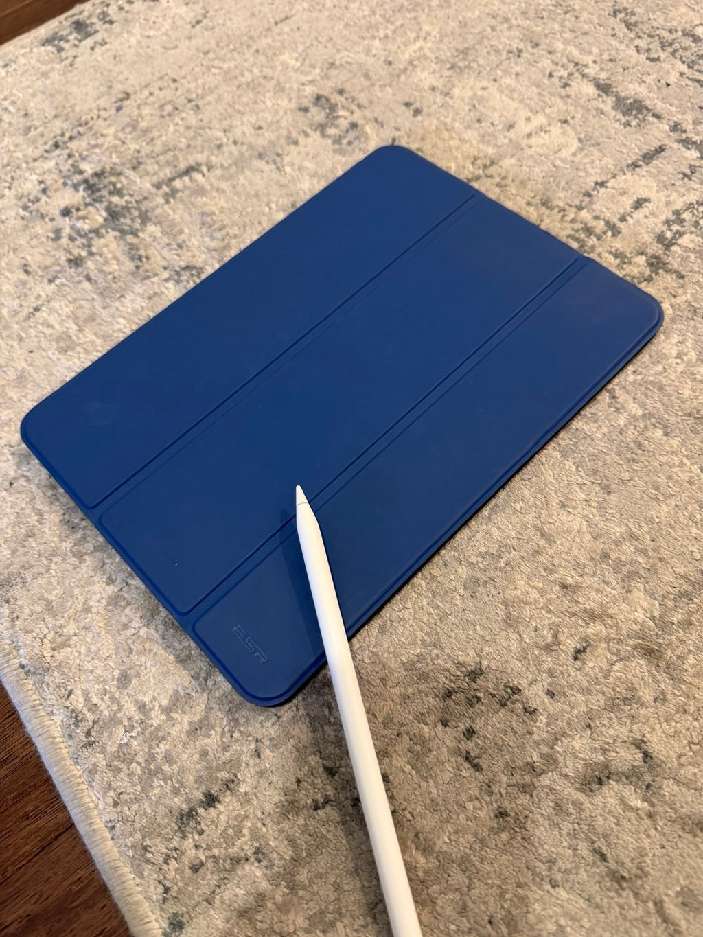 Apple iPad Pro 1st Generation 64 GB in Space Gray + Apple Pencil 3O79