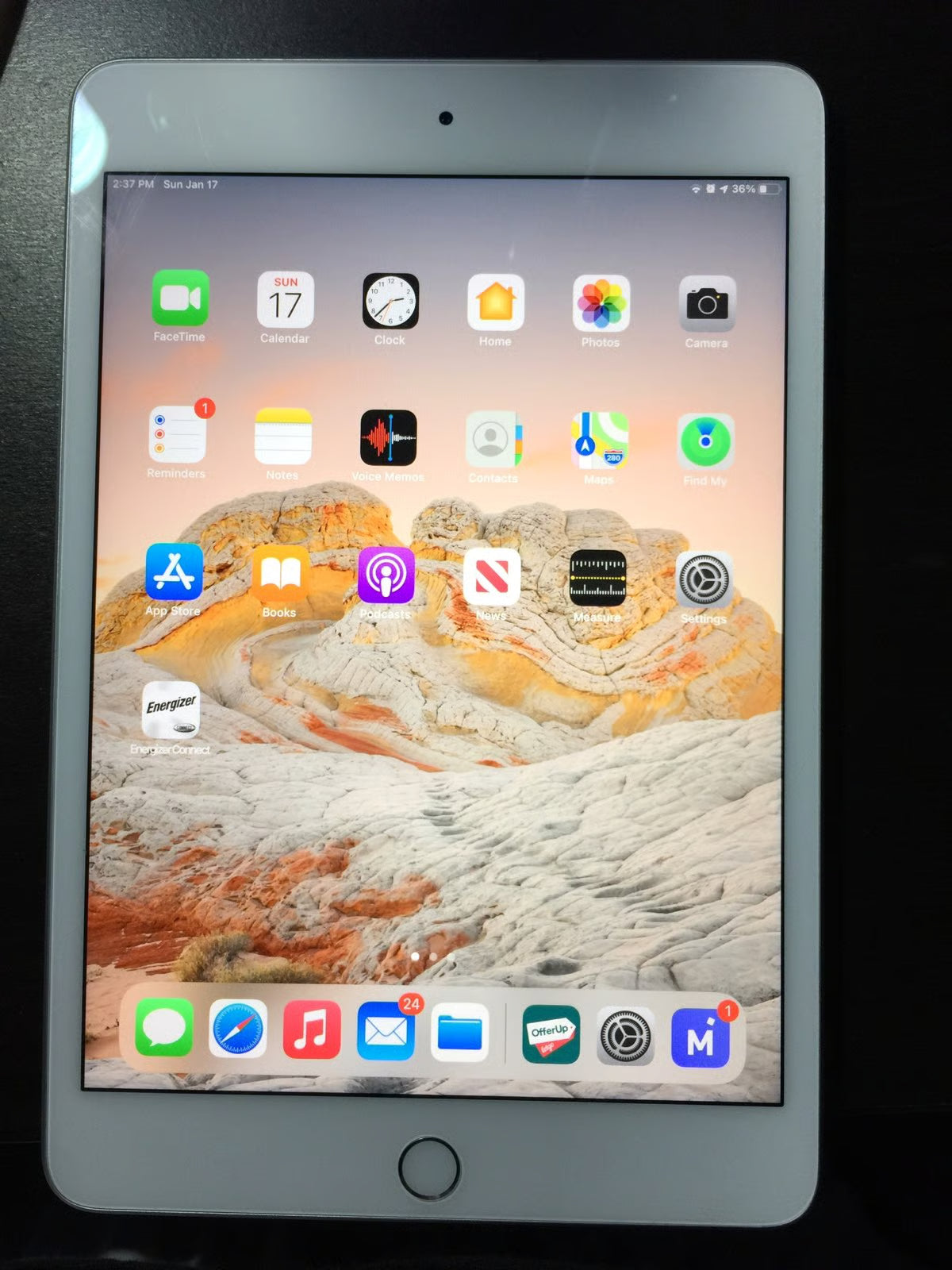 iPad mini 5C91