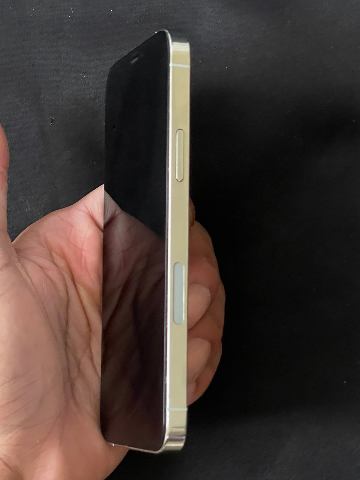 Apple iPhone 12 pro 256GB Silver Unlocked 3J82