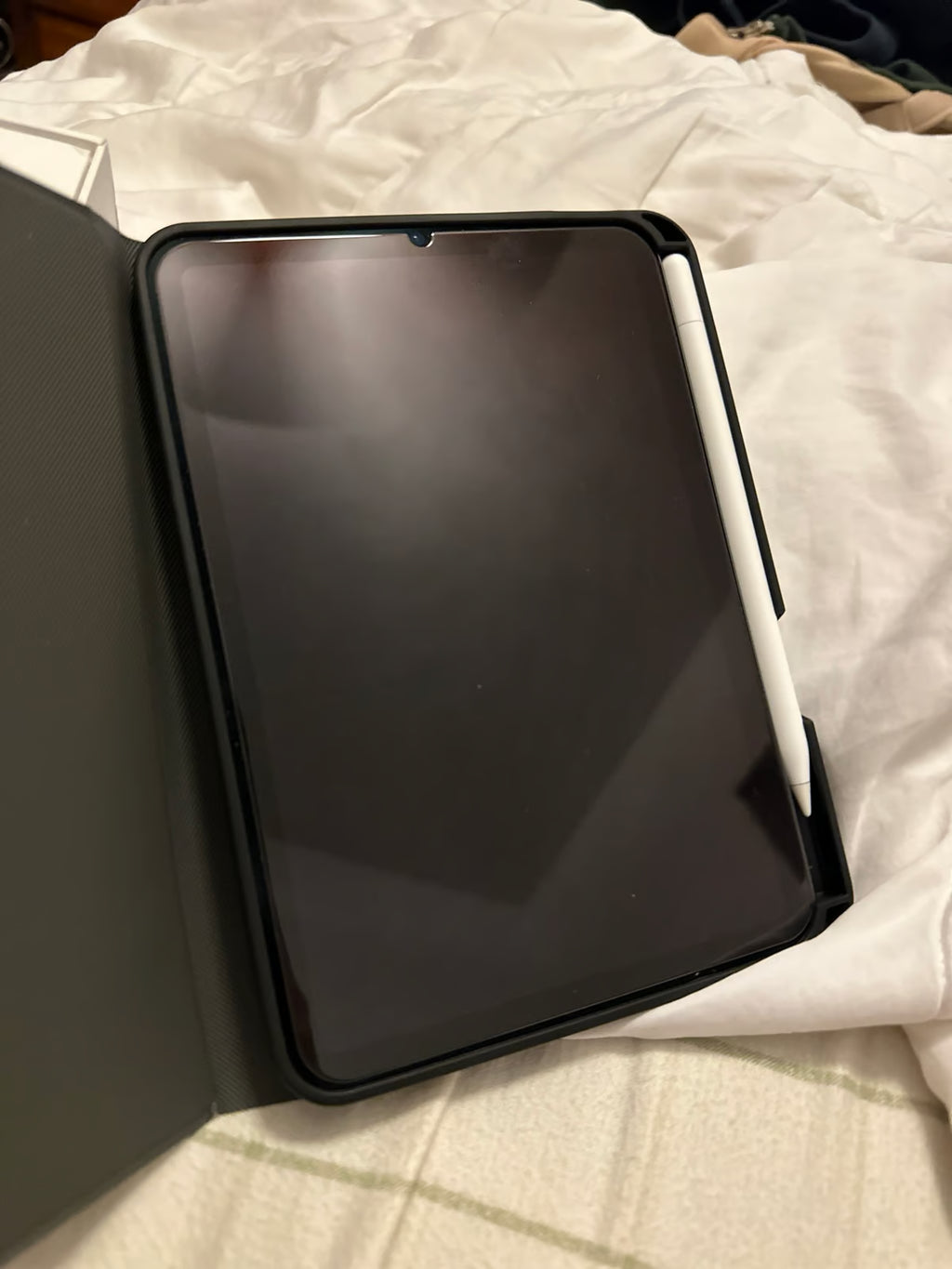 iPad Mini 6th Generation and Apple Pencil 3Y66