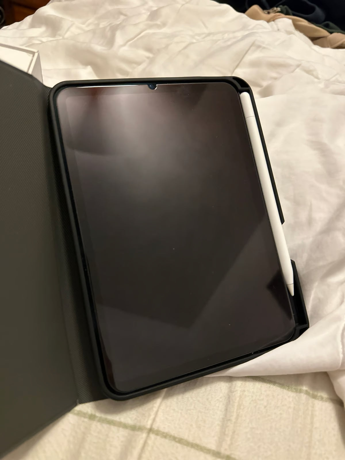 iPad Mini 6th Generation and Apple Pencil 3Y66