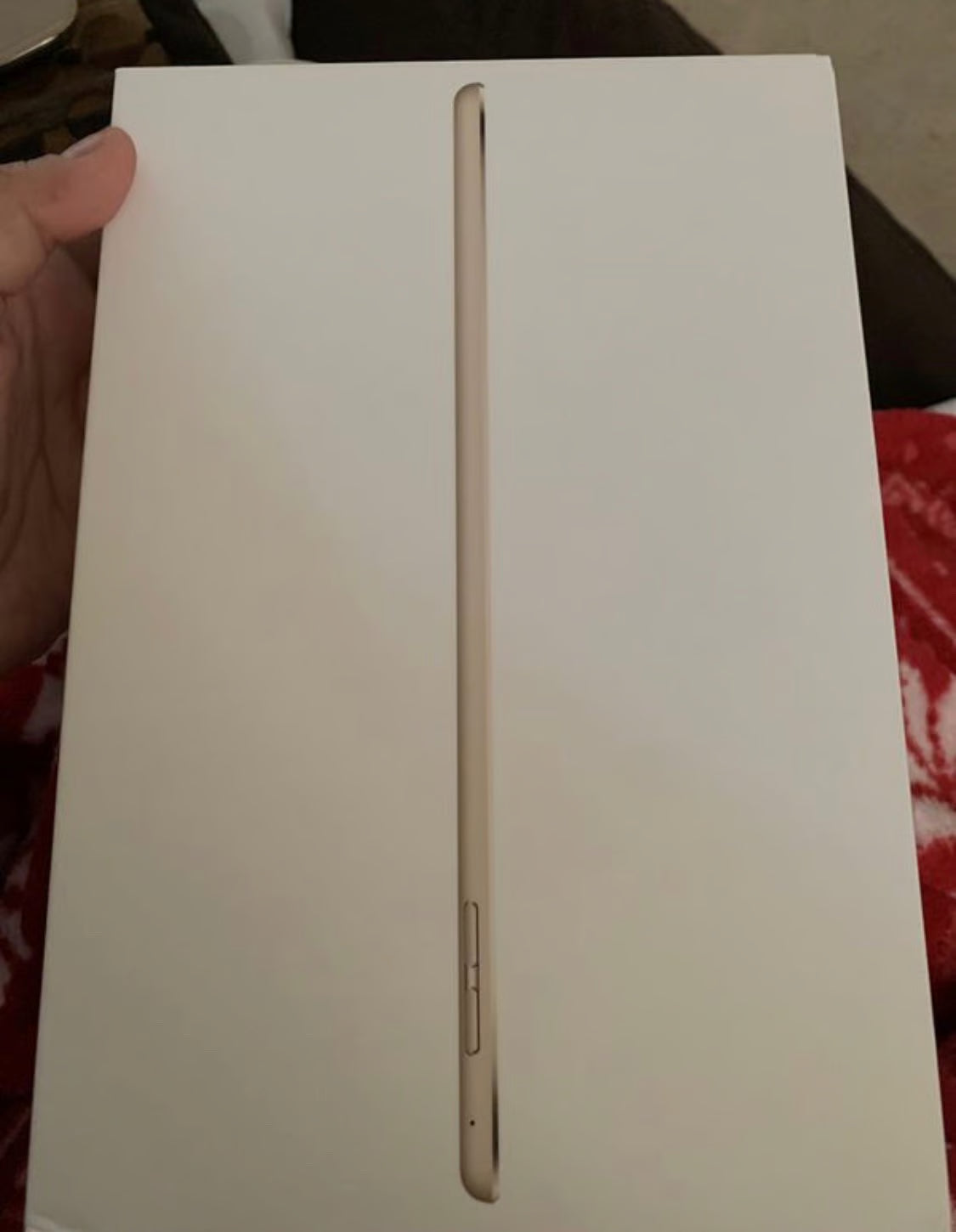 Apple ipad mini 3F27