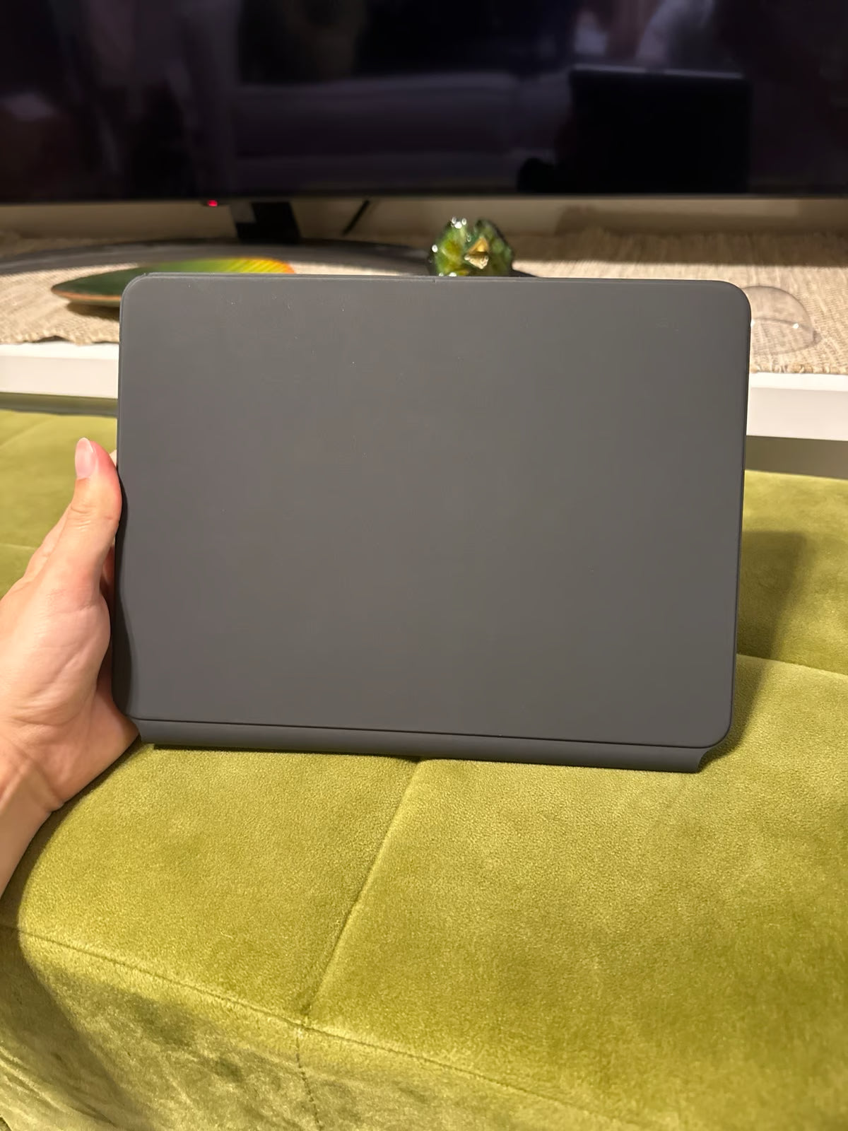 iPad Pro 11 inch 2nd Generation 256 GB 3C78