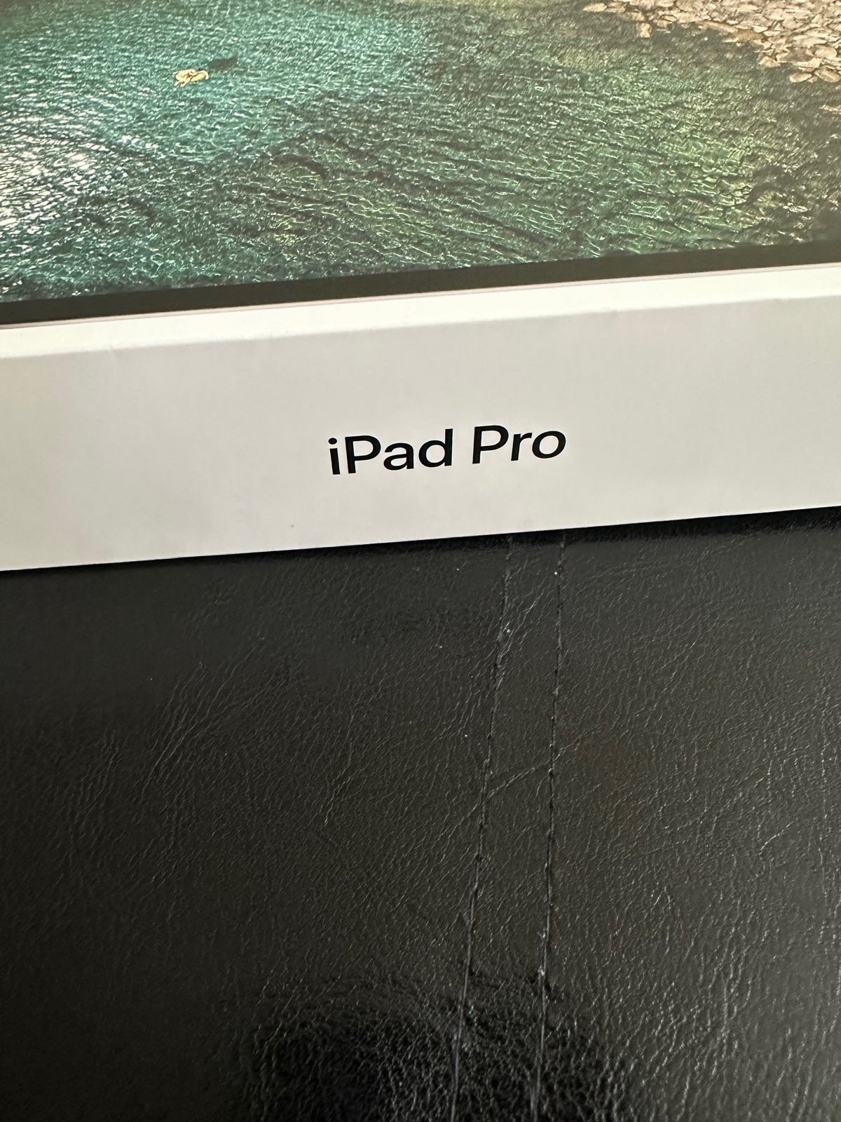 iPad Pro 2S77