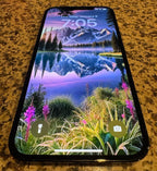 iPhone 12 Pro Max 512GB 9S89