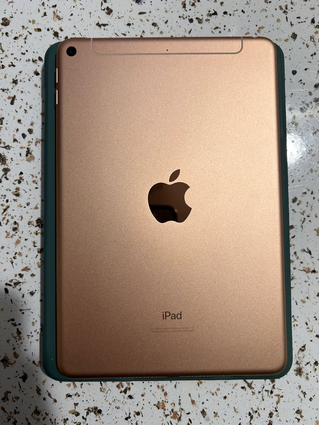 iPad mini 5th with generation with 2nd generation Apple Pencil 8M69