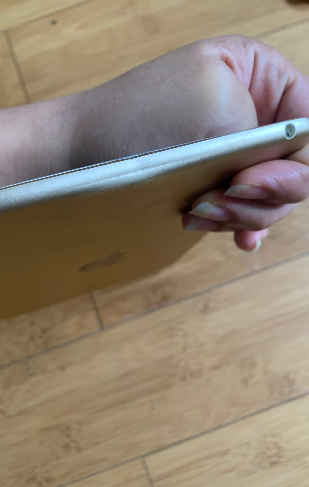 iPad mini 4th generation Gold 64 GB 7O89