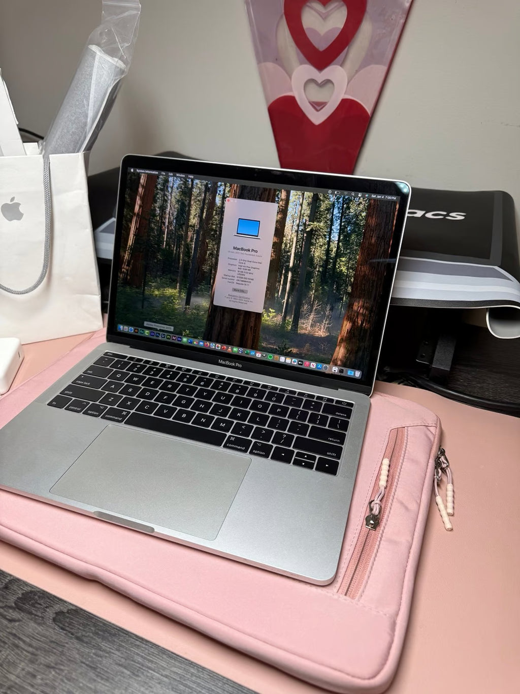 Apple MacBook Pro 13鈥?Silver 16GB RAM 1TB SSD macOS Sequoia 2024 6M79