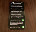 iPhone 13 Pro 128 GB Graphite UNLOCKED 100% Battery Health 1P76