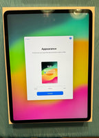 Apple iPad Pro 4th Generation 256 GB in Space Gray 8A88