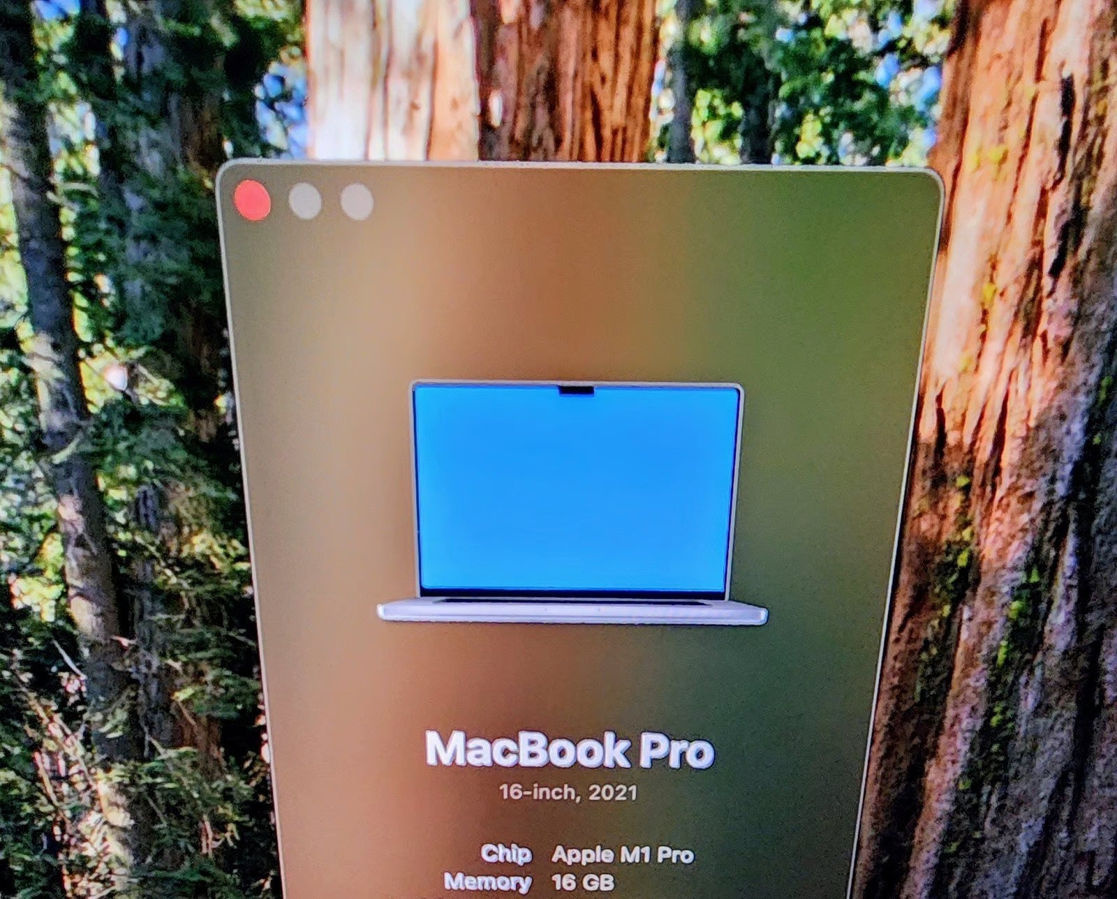 16in Macbook M1 Pro 5P11
