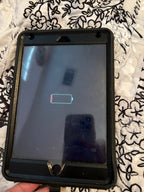 Apple iPad Mini 4th Generation 1C92