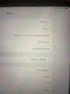 iPad Pro 12.9 4th 256Gb wifi/Cellular 2Z55
