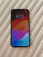 Apple iPhone 12 Pro Max 256 GB in Pacific Blue 8X21