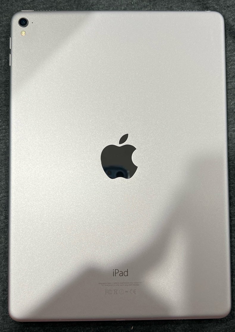 iPad Pro 1st generation Space Gray 256 GB 1X61