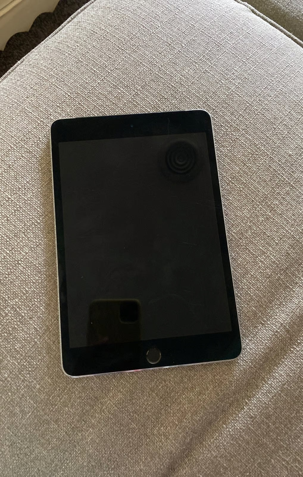 iPad mini 4th generation 3V28