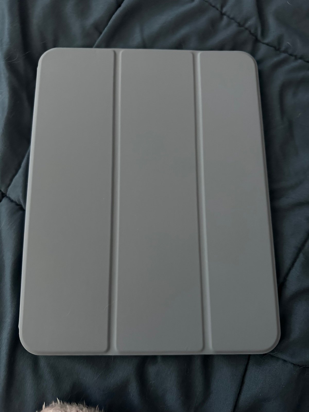 iPad Pro 2TB 8P87
