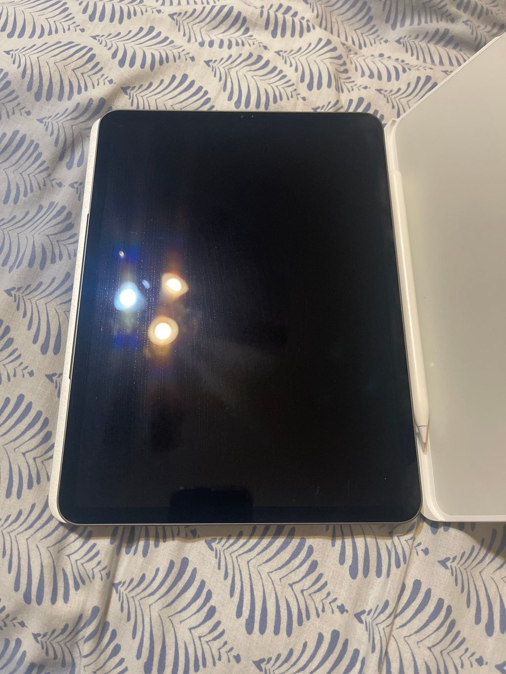ipad pro 11 inch 1st gen 256gb w/brydge keyboard and pen 6C11