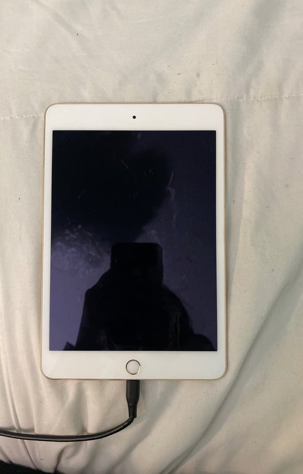 iPad mini 4th generation Gold 128 GB 5D21