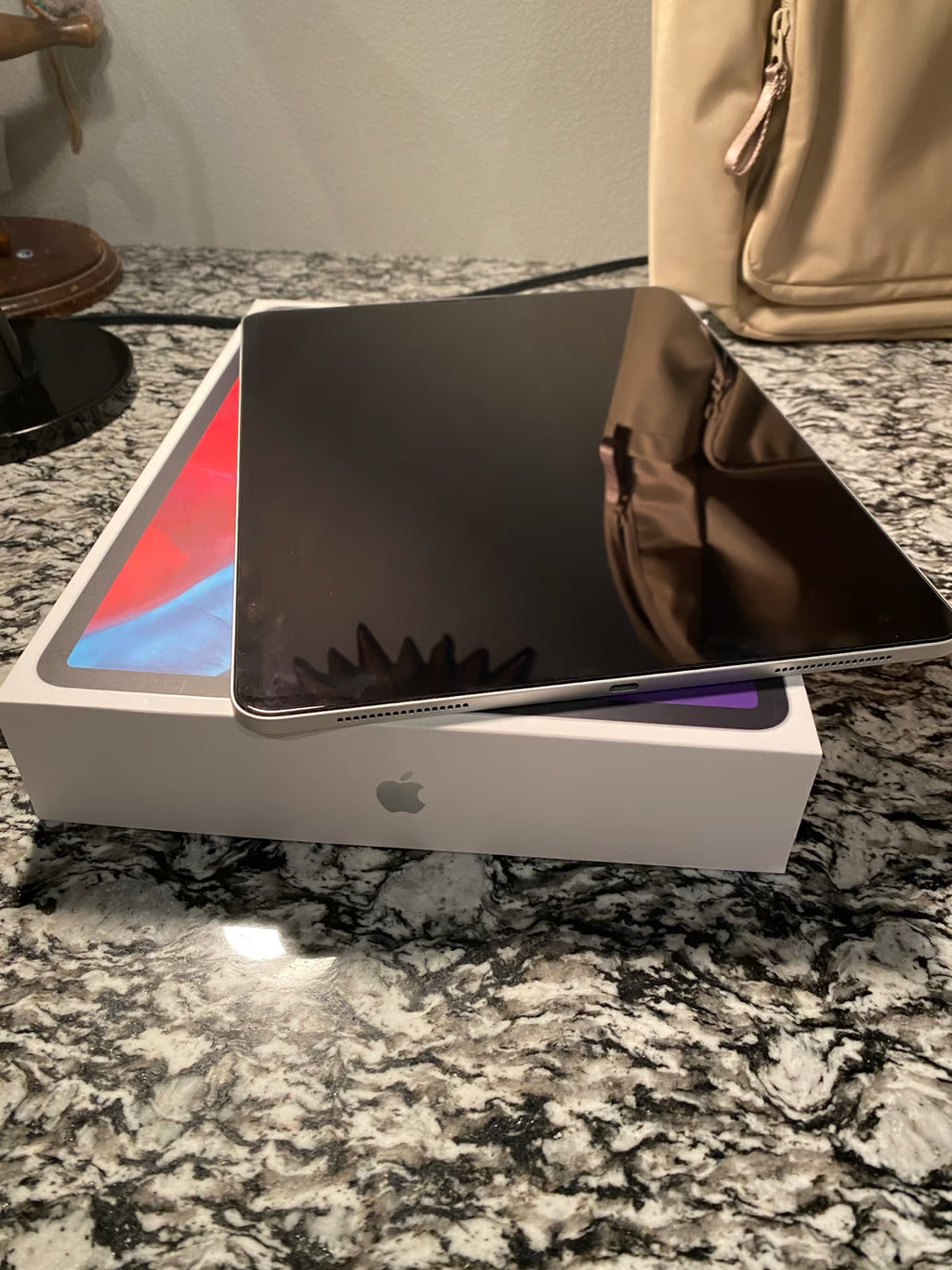 Apple iPad Pro 4th Generation 256 GB in Silver 6Y27