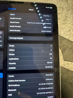 iPad Pro 11in 4th Gen 8J93