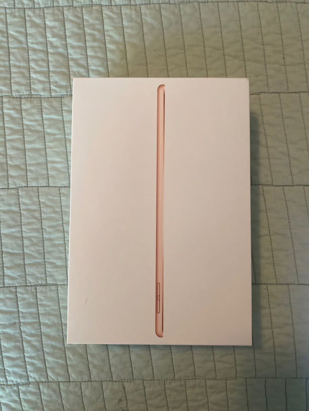 iPad mini 1G13