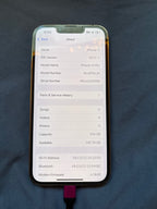 Used Apple iPhone 13 Pro 256GB (AT&T) 9C67