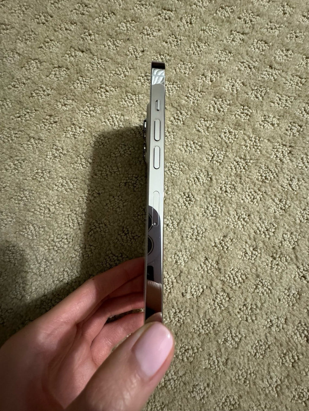 iPhone 13 Pro 256 GB Unlocked Silver 1Z85