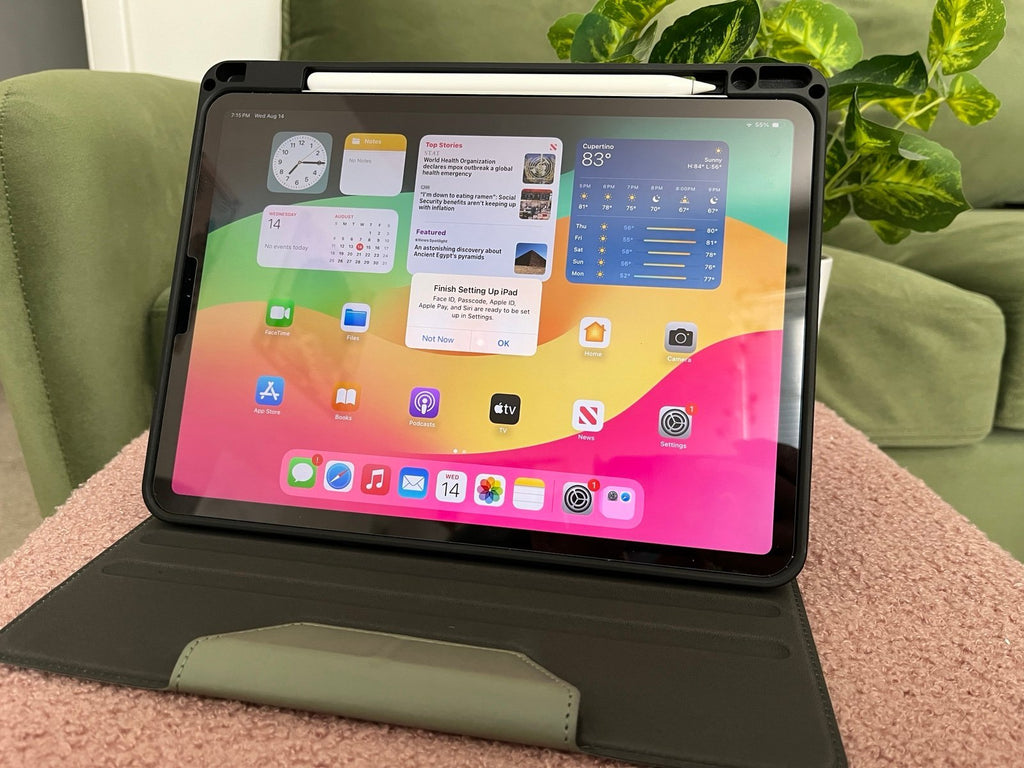 iPad Pro 11 inch 1st Generation + Apple Pencil 2nd Gen (with case) 3Z76