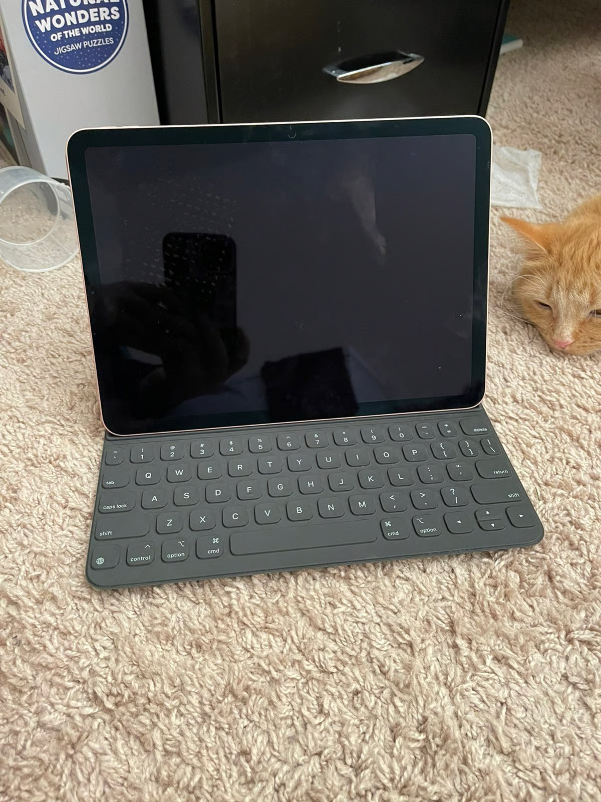 Apple iPad Air 4th Generation 64 GB in Rose Gold 3Z56