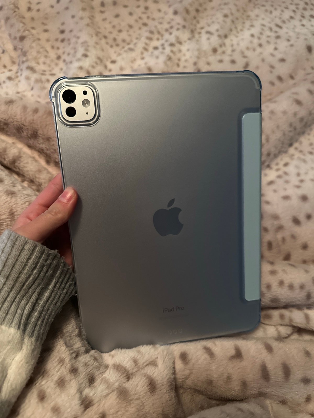 ipad pro 11 inch m4 3G75