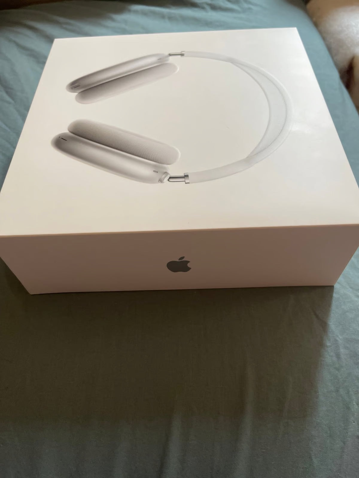 Apple AirPods Max with Smart Case in Silver 3H37