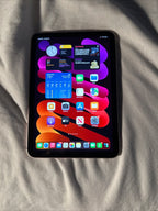 Apple iPad Mini 6th Generation 256 GB in Rose Gold cellular 6V88