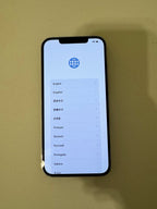 Apple iPhone 12 Pro Max 1H62