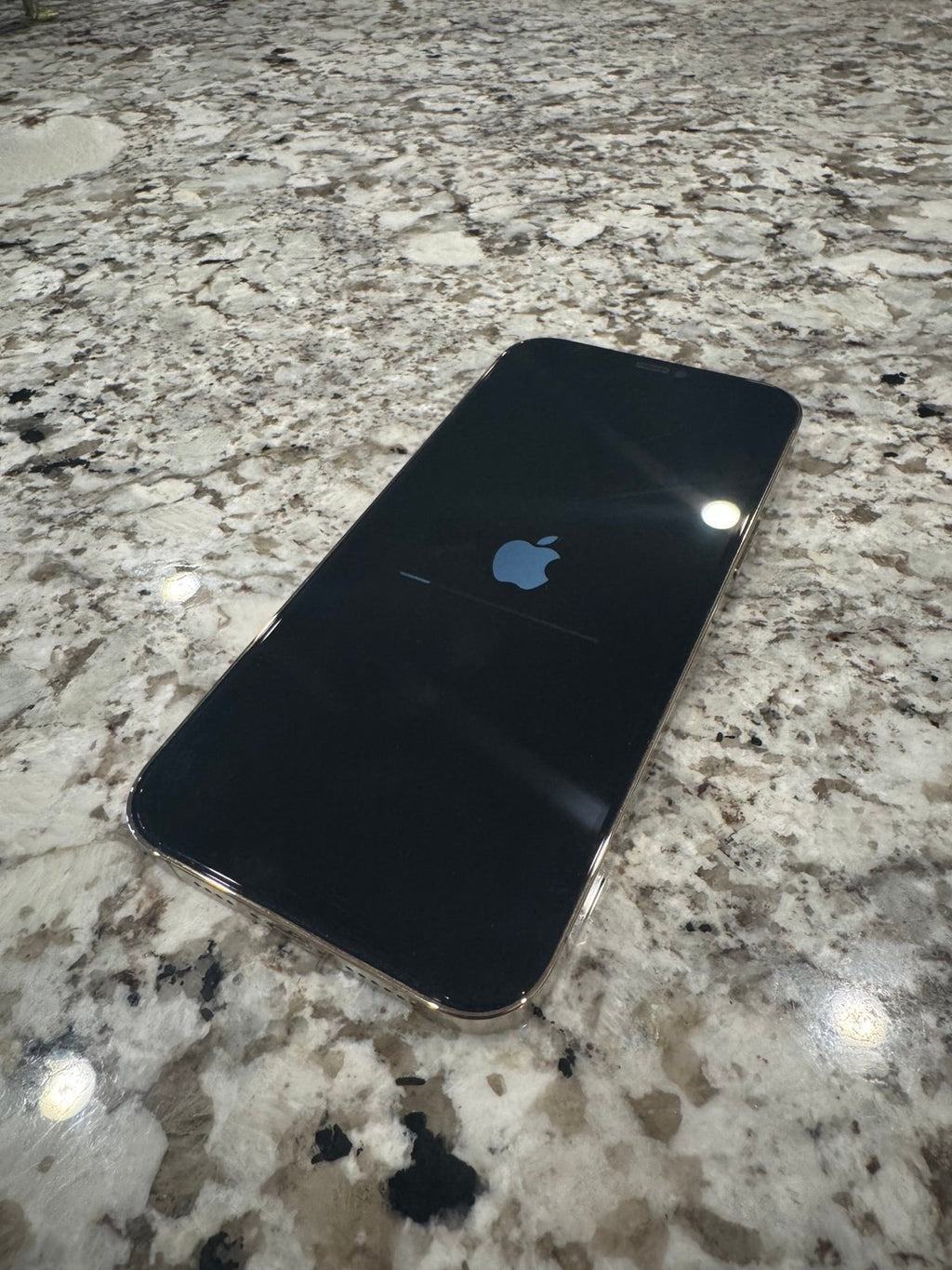 Gold iPhone 12 Pro Max 256GB 7T12