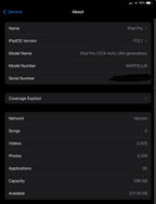 iPad Pro 12.9 Inch 3U52