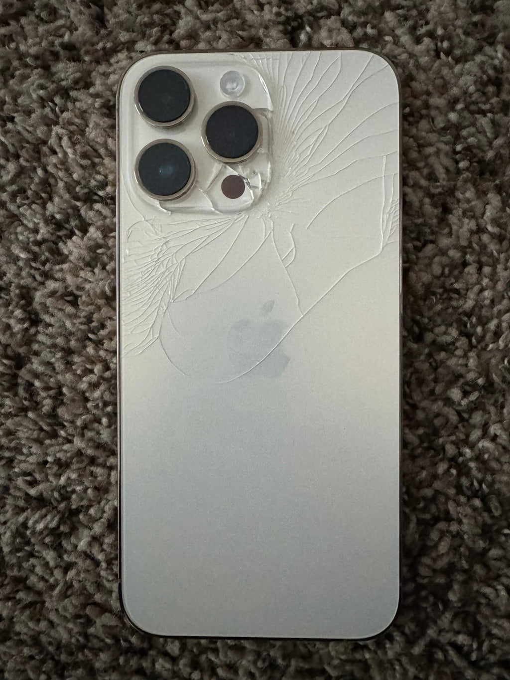 iPhone 14 Pro Max 1Z55