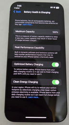 Apple iPhone 12 Pro 256 GB in Pacific Blue 1Z78