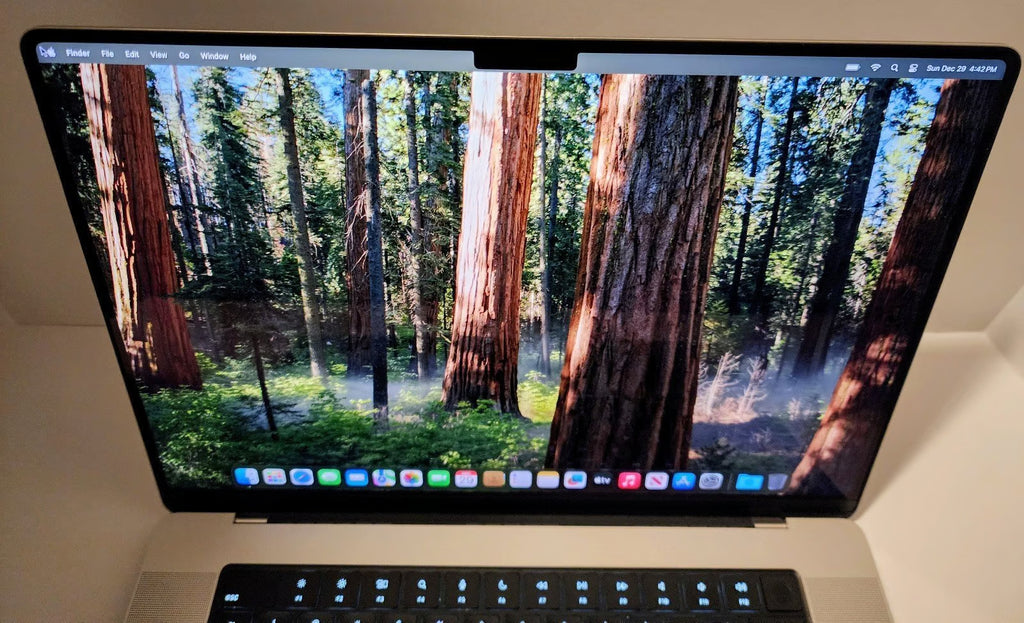16in Macbook M1 Pro 5P11