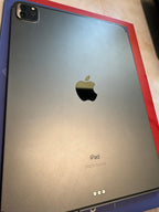 iPad Pro 2nd generation Space Gray 256 GB (celluar) --read 1O66