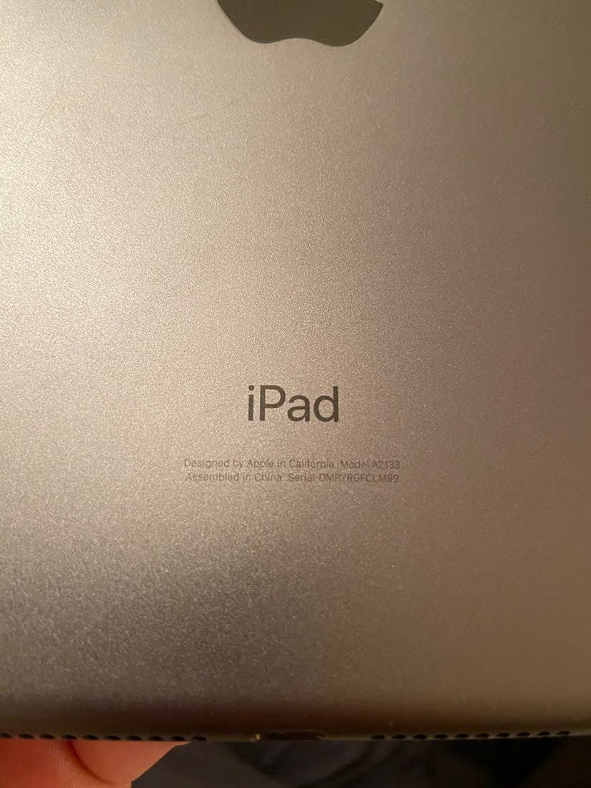 iPad mini 5th generation Space Gray 256 1H72