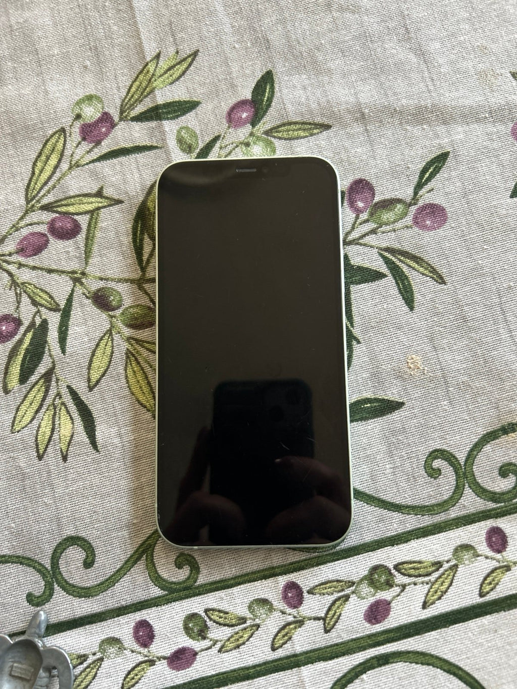 iphone 12 unlocked 5J37