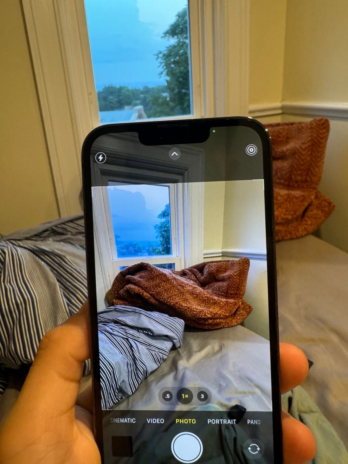 IPhone 13 Pro 256GB Unlocked 6X18