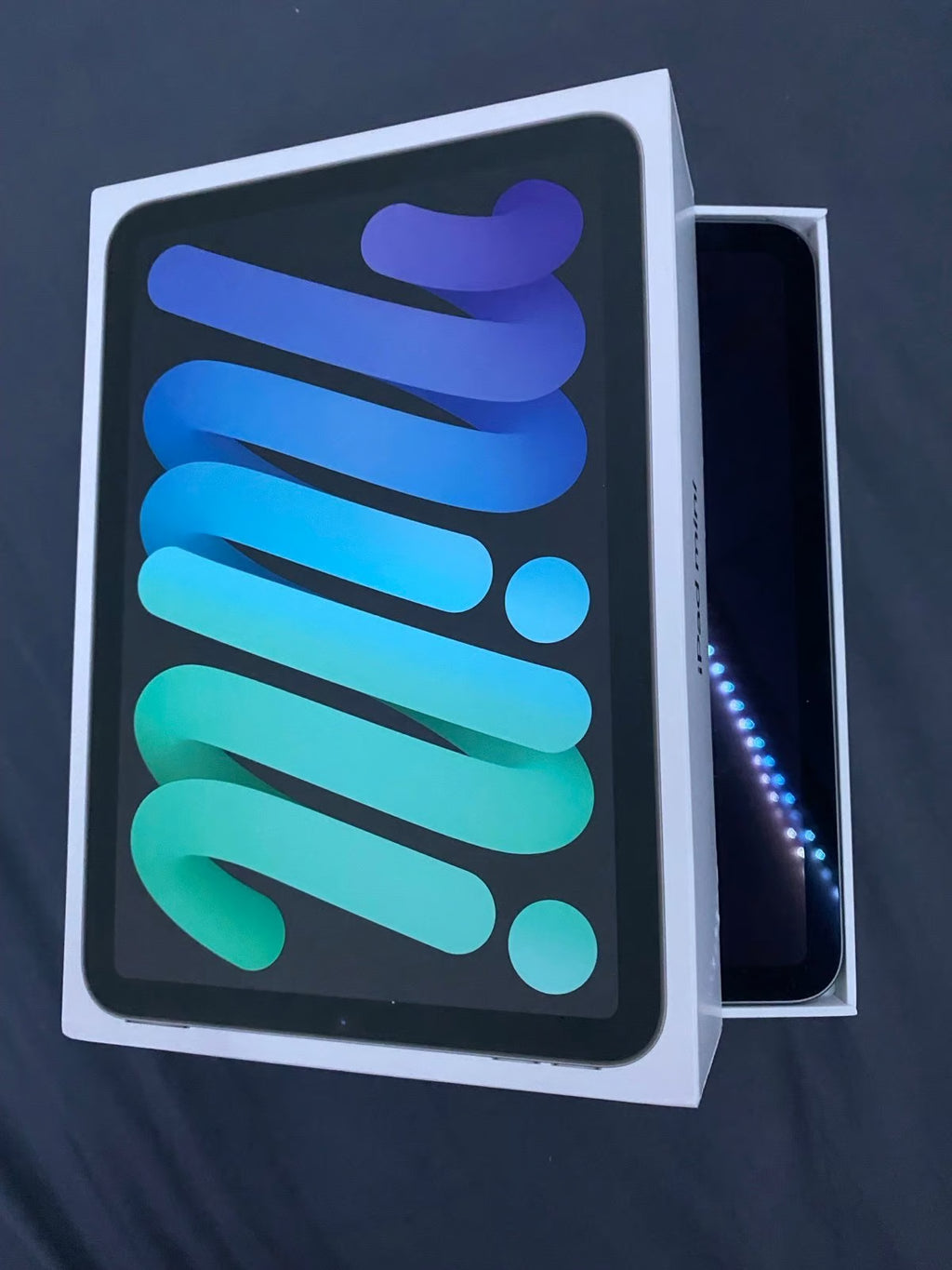 Apple iPad Mini 6th Generation 64 GB 8G39